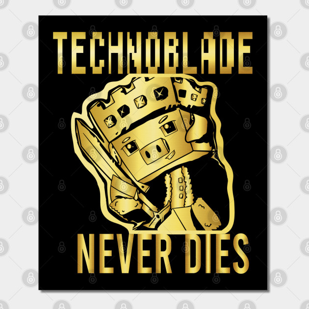 Technoblade never dies! Best vibes and smoothly recovery. . . . #technoblade  #technosupport